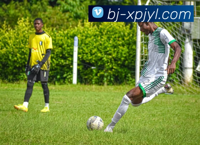 新葡京娱乐APP 体育赛事宣传图